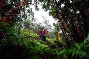 BIB: 
                            <button type="button" onclick="openModal(26203305)" class="btn btn-primary btn-sm float-right btn-popup" data-toggle="modal" data-target=".modal-high-quality">
                        <i class="fas fa-shopping-cart"></i> Add to Cart
                    </button>
                                            <button type="button" onclick="isThisMe(26203305, true)" class="btn btn-success btn-sm float-right btn-popup btn-isme hidden" data-toggle="tooltip" data-placement="bottom" title="นี่คือรูปของคุณใช่ไหม คลิกที่นี่เพื่อเอาเข้าอัลบั้ม">
                        <i class="fas fa-plus"></i> Add to album
                    </button>
                    <button type="button" onclick="isThisMe(26203305, false)" class="btn btn-warning btn-sm float-right btn-popup btn-isnotme hidden">
                        <i class="fas fa-ban"></i> Remove from album
                    </button>